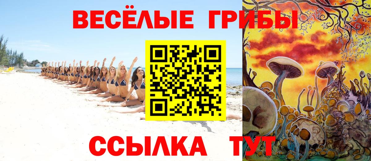 Псилоцибиновые грибы ЛСД Дербент