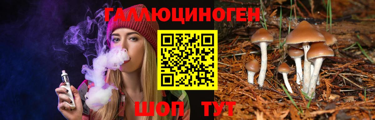 Псилоцибиновые грибы ЛСД  купить наркотики сайты  Дербент  Вход с VPN 